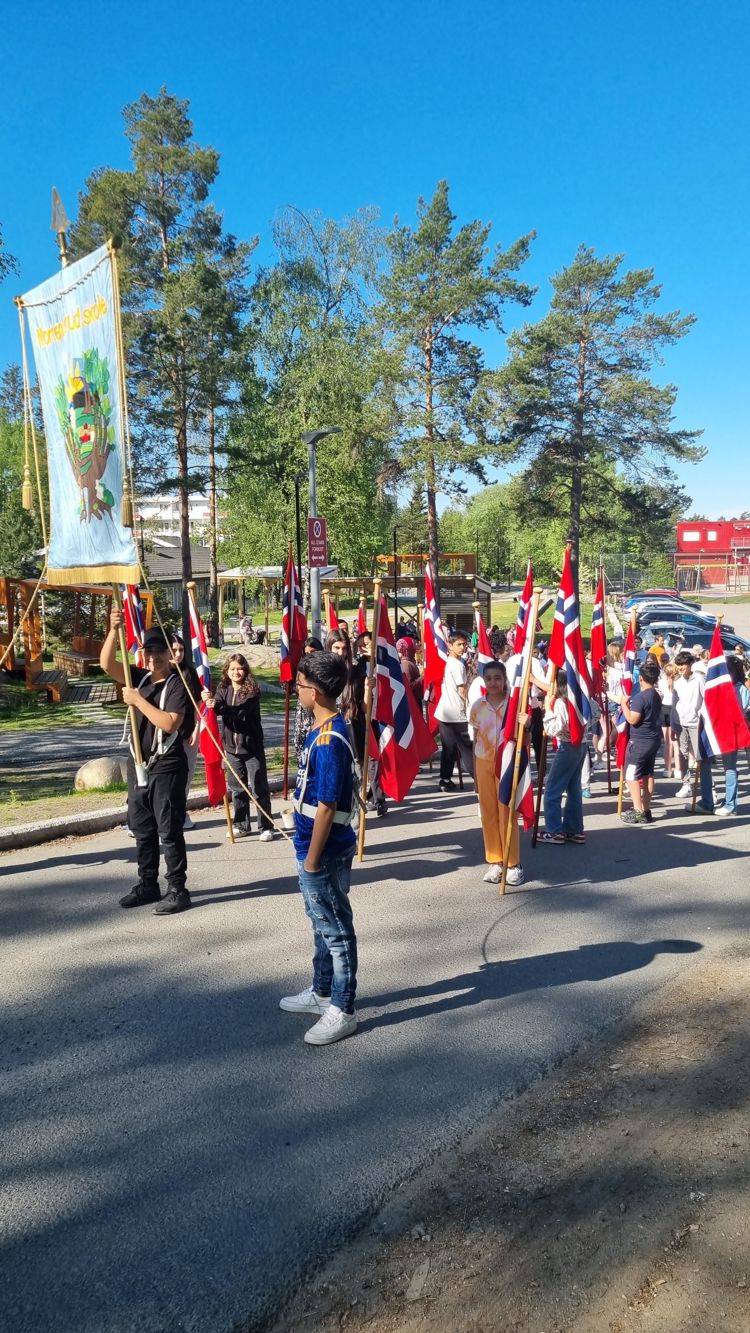 En gruppe mennesker som holder flagg