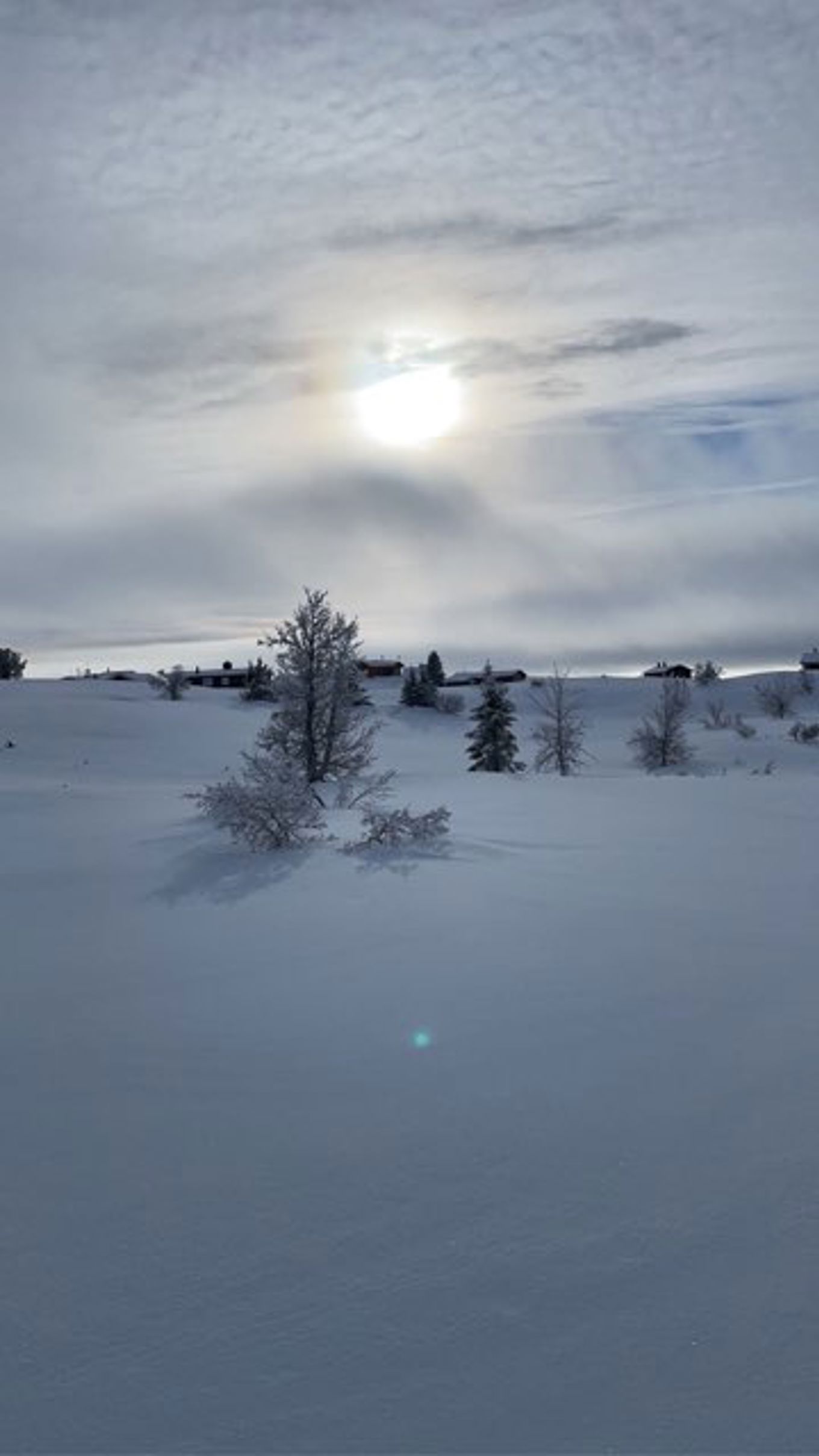 en snødekt vidde med trær og solen i bakgrunnen.