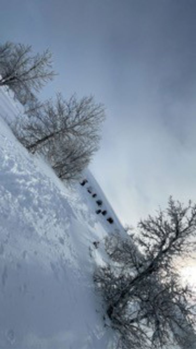 Snøhule