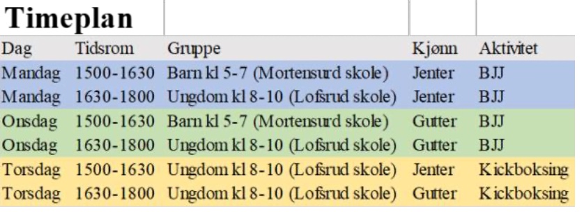 Timeplan Timeplan